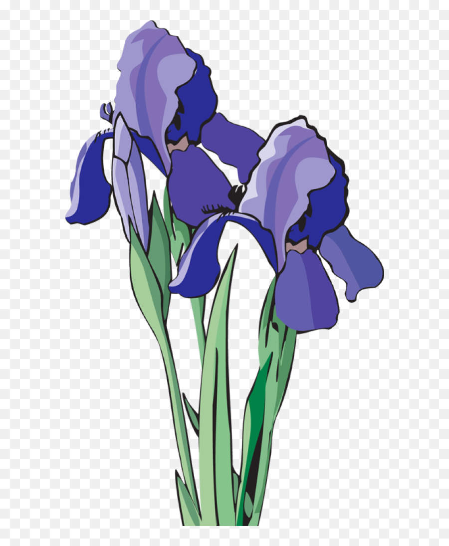 Iris Flower Png Png Images Emoji,Iris Flower Png