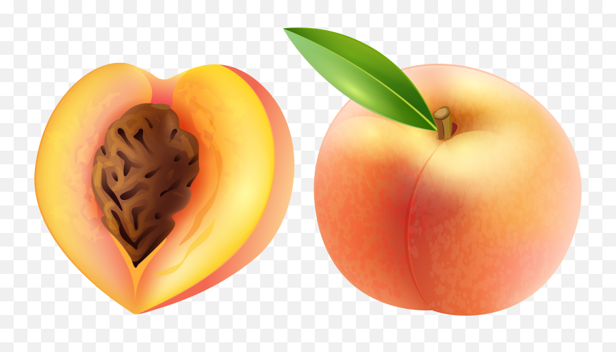 Free Peach Cliparts Download Free Clip - Clip Art Peach Emoji,Peach Clipart