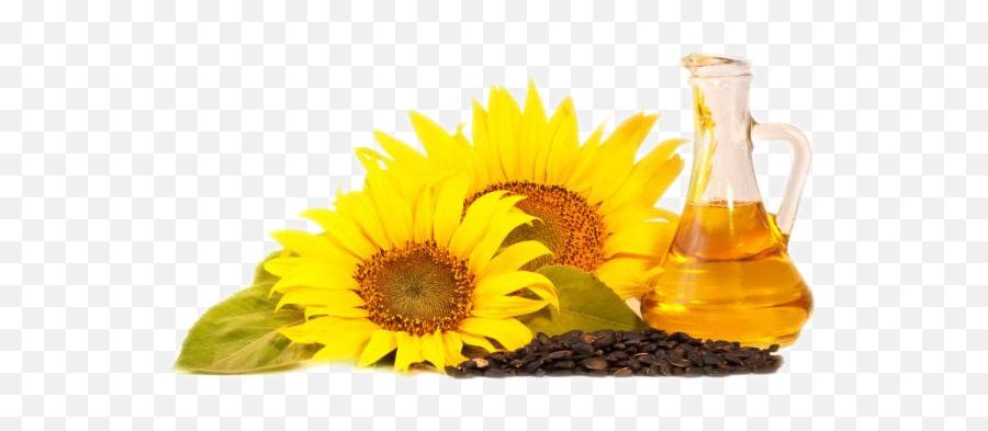 Sunflower Oil Png - Sunflower With Oil Png Emoji,Sunflower Transparent