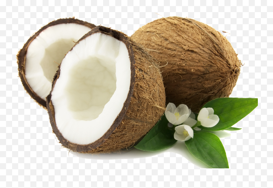 Download Coconut Png Hq Png Image - Coconut Fruit Emoji,Coconut Png