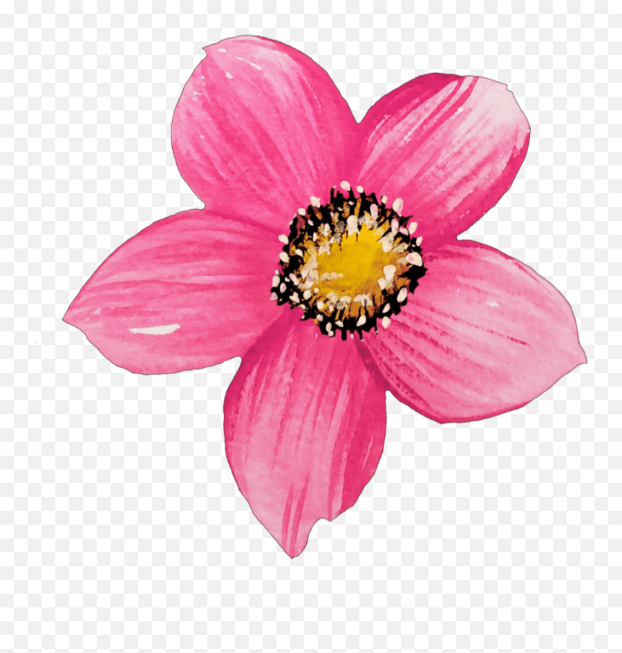 Pink Watercolor Flower Clipart 35 U2013 Mckinley Design Co - Girly Emoji,Watercolor Flower Clipart