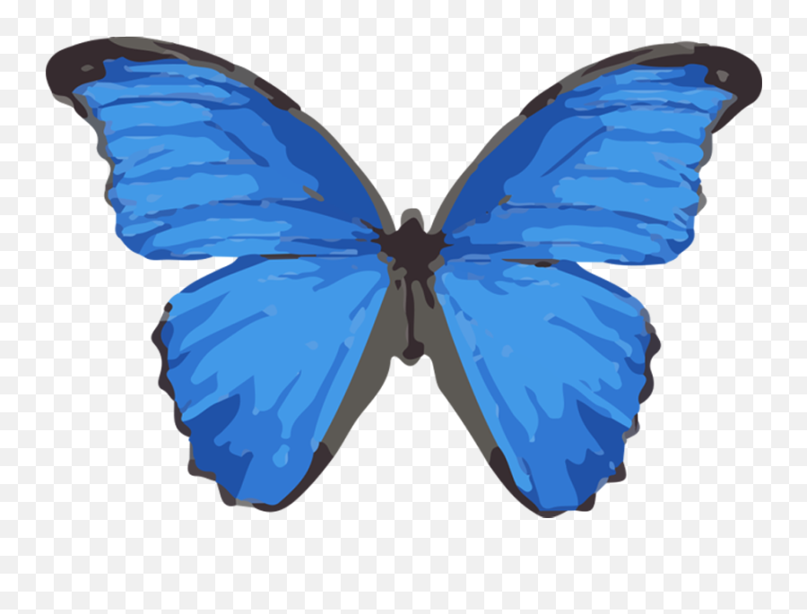 Brittany Allen Logo Tee Emoji,Butterfly Gif Transparent