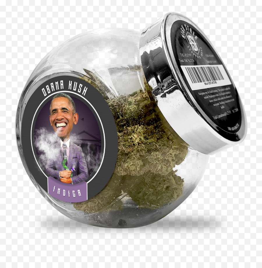 Obama Head Png - Obama Kush Cosmetics 2732085 Vippng Chromium Emoji,Obama Png