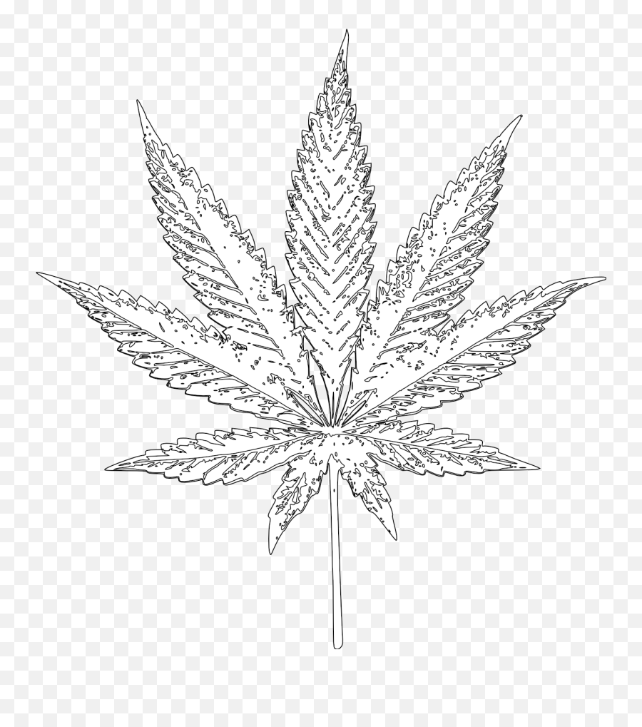 Drawn Weed Indica Leaf - Cannabis Leaf Drawing Transparent Background Emoji,Weed Leaf Png