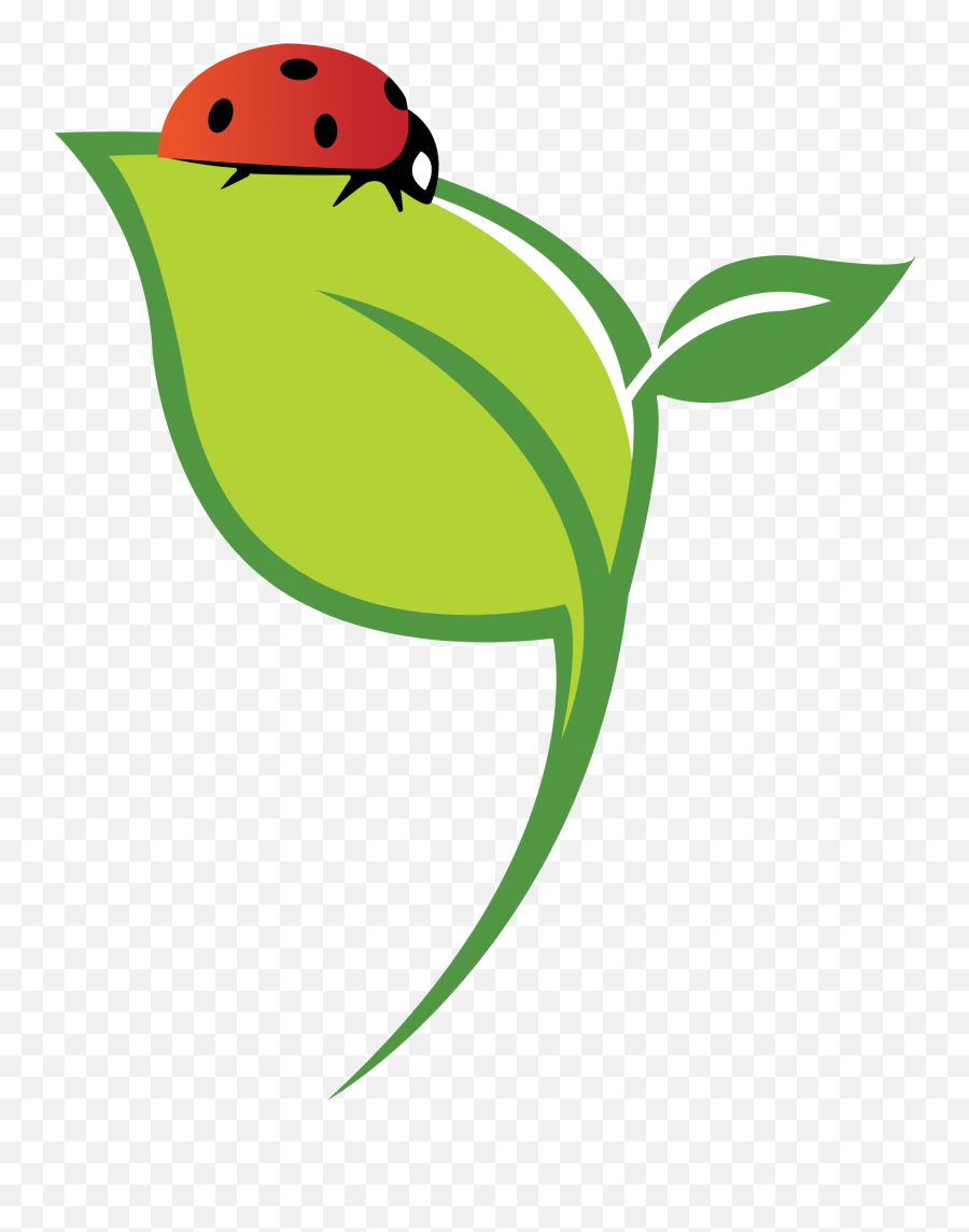Fb Logo High Resolution Final - Ladybird Beetle Emoji,Fb Logo