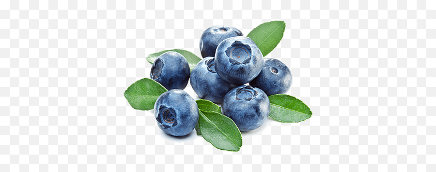 Blueberries And Leaves Transparent Png - Lemons And Blueberries Png Emoji,Blueberry Clipart