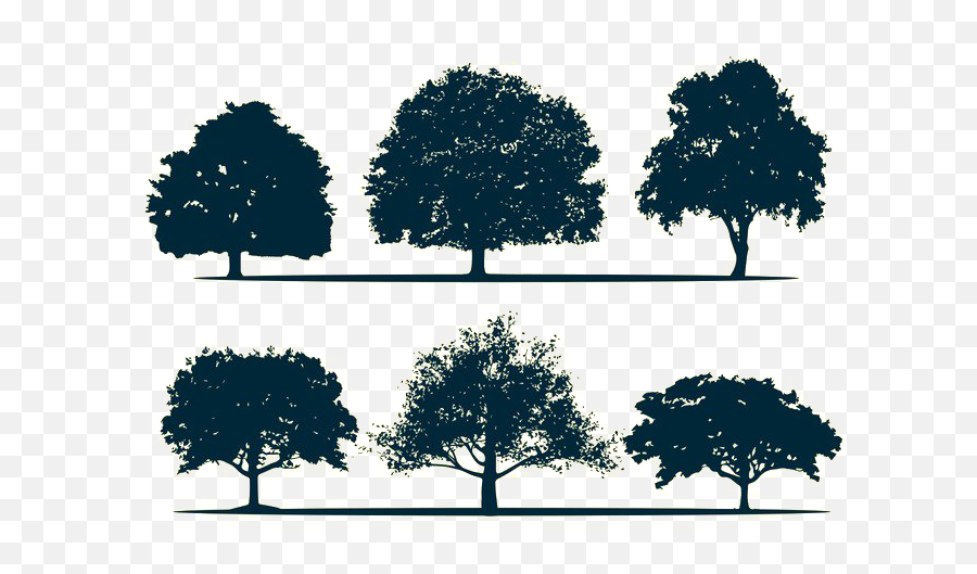 Silhouette Oak Tree - Tree Silhouette Png Download 700490 Oak Tree Silhouette Emoji,Oak Tree Clipart