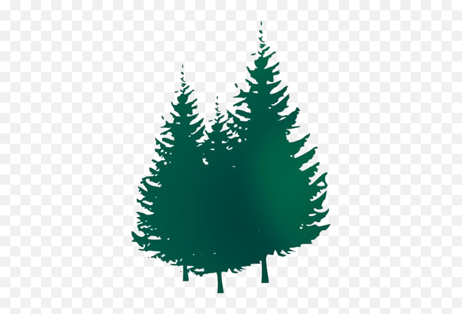Transparent Redwood Tree Silhouette Emoji,Redwood Tree Clipart