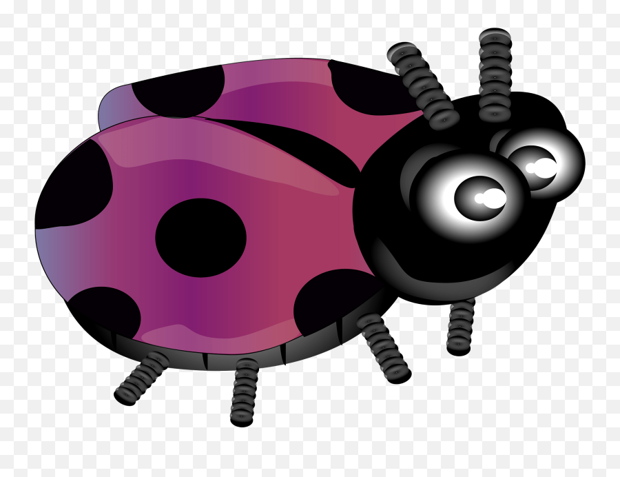Purple Ladybug Clipart Free Download Transparent Png Emoji,Ladybug Clipart Free