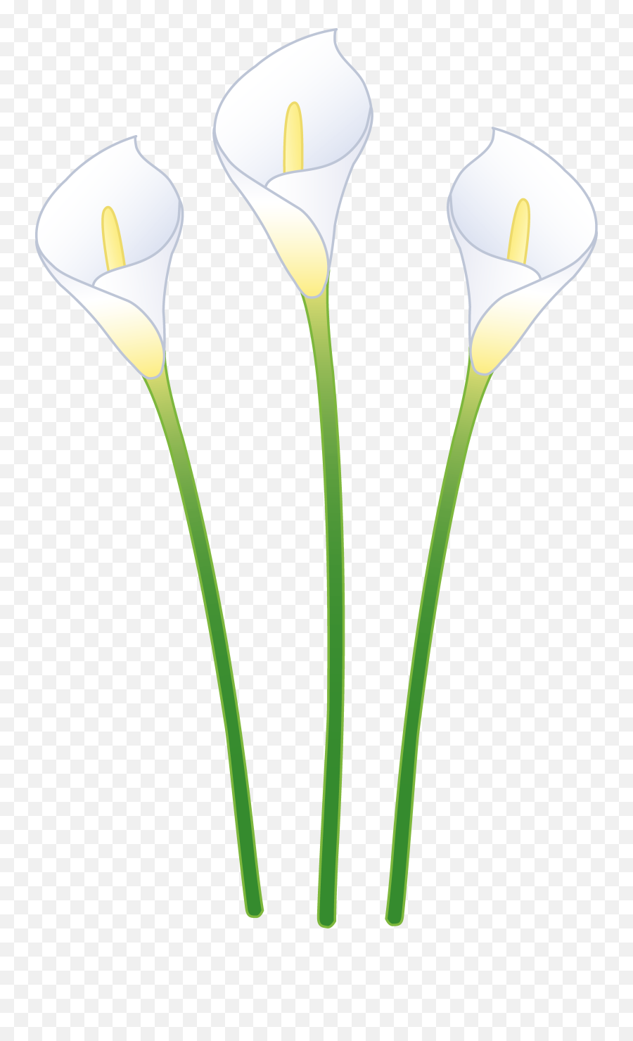 Calla Lilies Cartoon - Calla Lily Flower Cartoon Emoji,Easter Lily Clipart