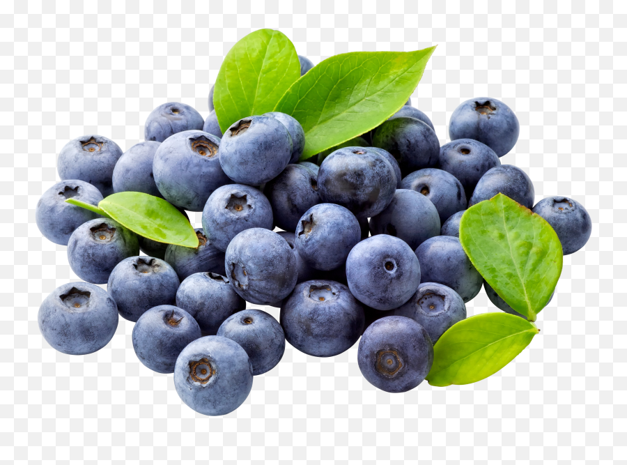 Blueberry Png Free Download - Transparent Background Blueberries Png Emoji,Blueberry Clipart