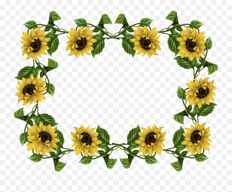 Sunflower Clipart Border - Border Transparent Sunflower Clipart Emoji,Sunflower Clipart