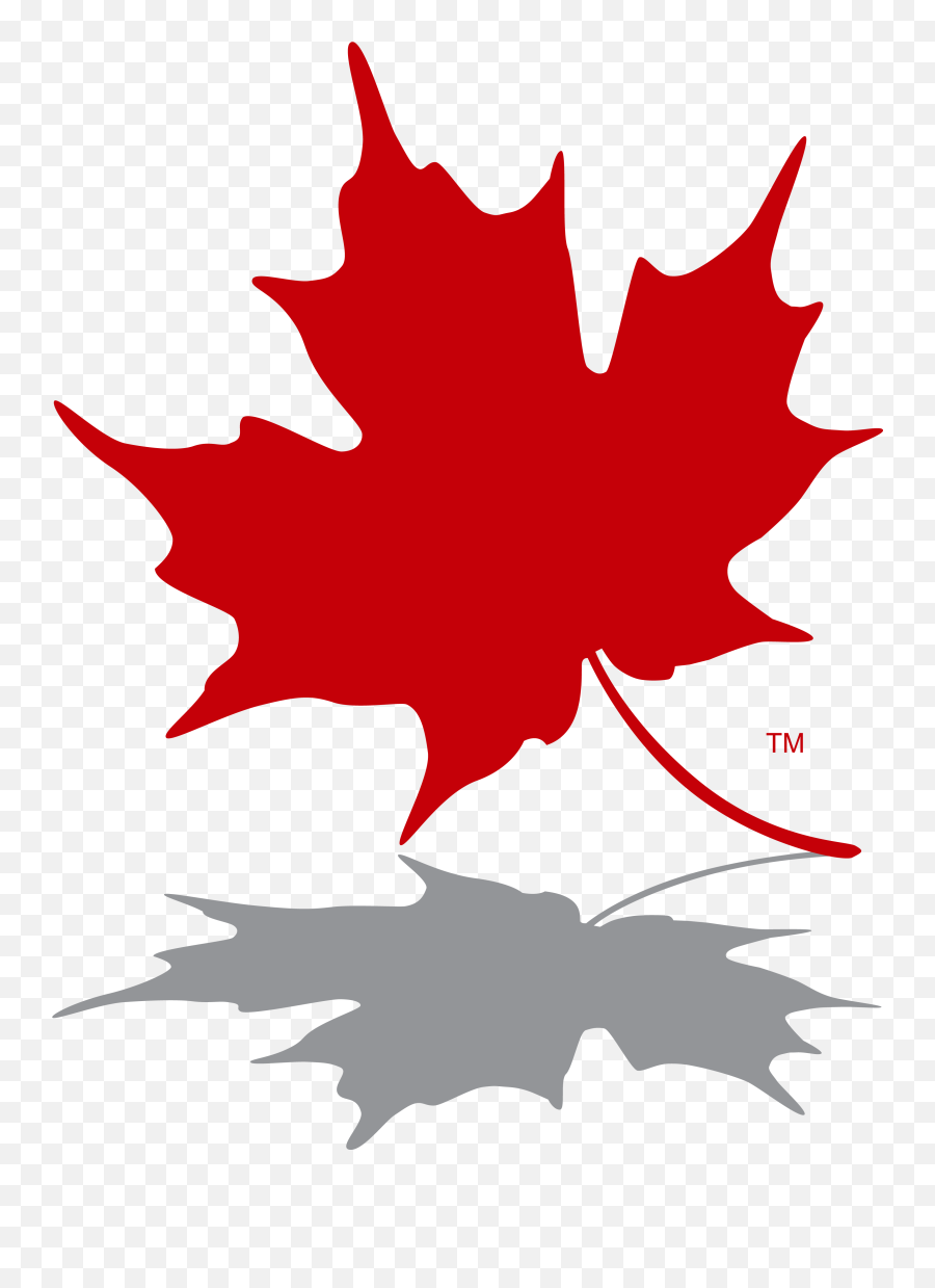 Maple Leaf Logo Png Clipart - Logo Canada Maple Leaf Emoji,Maple Leafs Logo