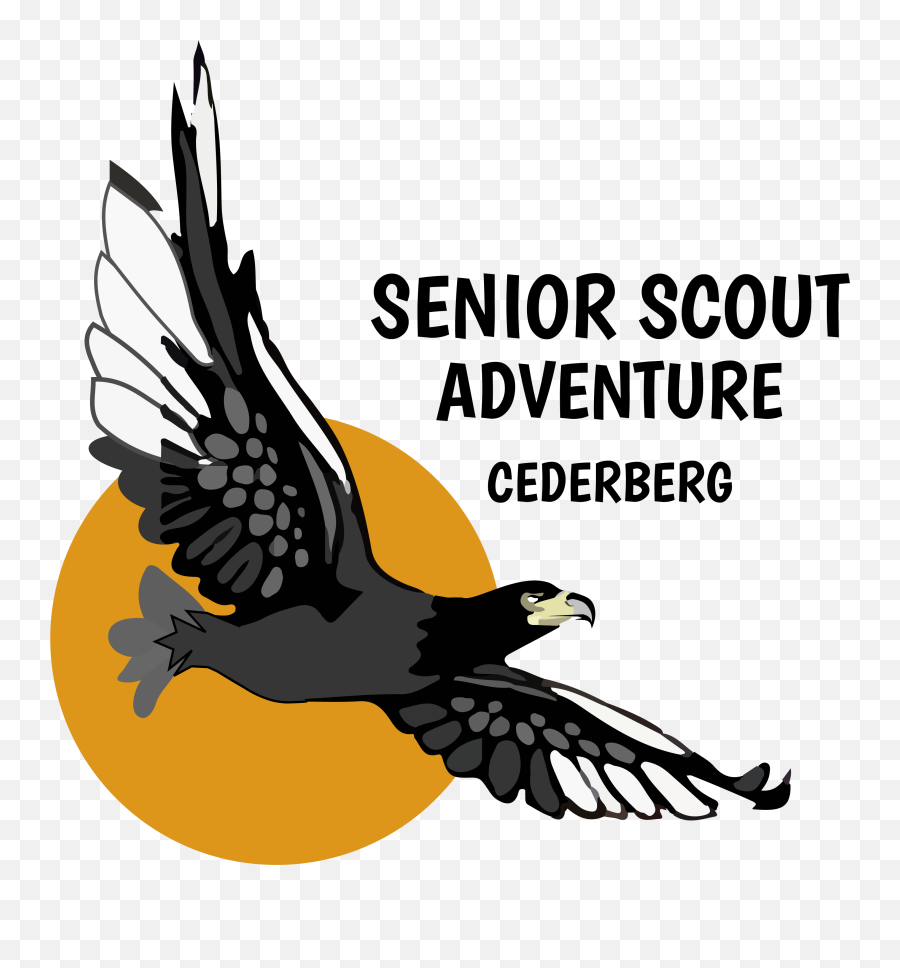 Adventure Clipart Scouting Activity - Cederberg Senior Scout Language Emoji,Scout Clipart
