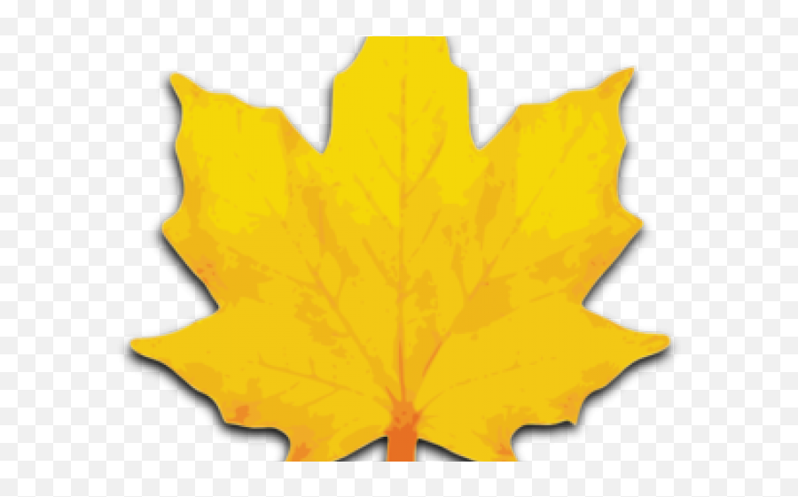 Maple Leaf Clipart Royalty Free - Gambar Daun Animasi Keren Emoji,Maple Leaf Clipart Black And White