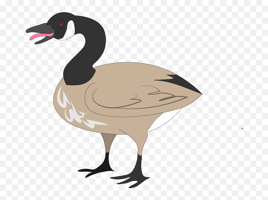 Canada Goose Illustrated For A North By Northwestern Clipart - Canadian Goose Clipart Emoji,Canada Goose Logo