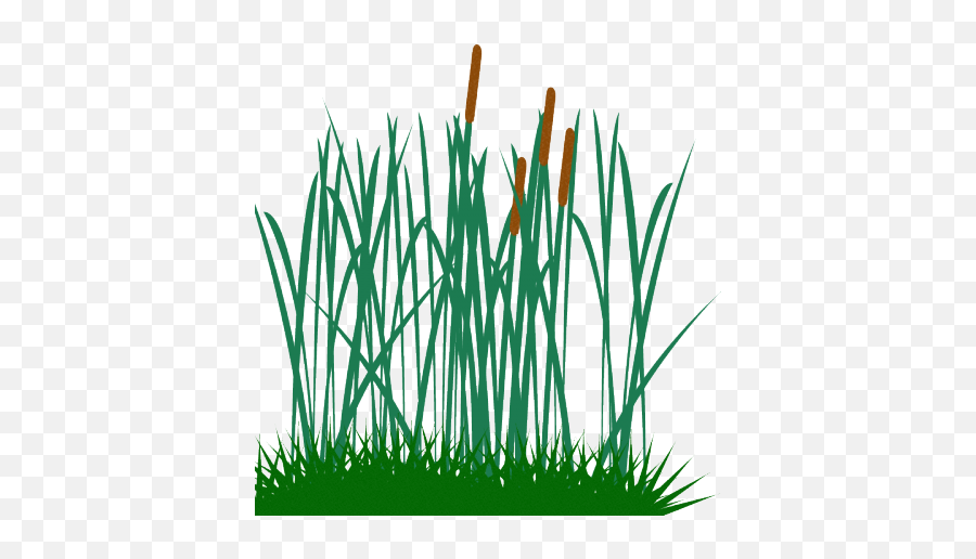 Dry Grass Clipart Tall - Tall Grass Clip Art Emoji,Tall Clipart