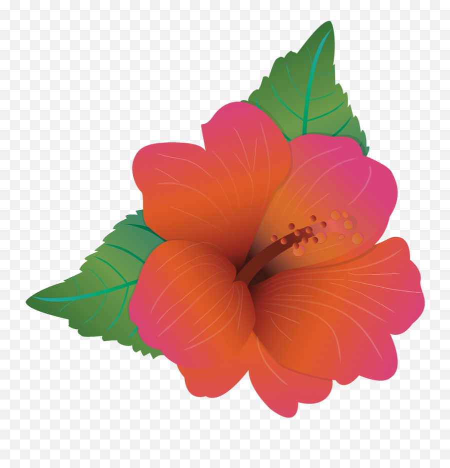 Free Polynesian Flower 1190724 Png With - Polynesian Flower Transparent Background Emoji,Flower Transparent