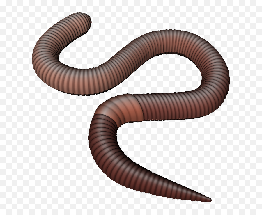 Free Transparent Worm Png Download - Earthworm Png Emoji,Worm Clipart