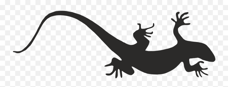 Lizard Nature Close Up - Free Vector Graphic On Pixabay Emoji,Lizard Transparent Background