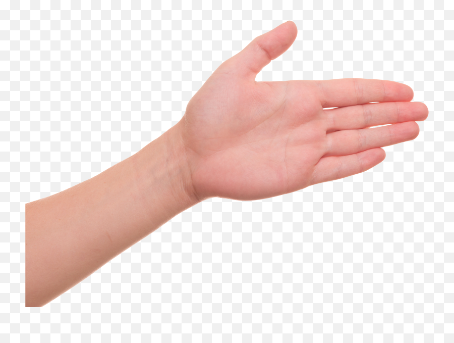 Free Transparent Cc0 Png Image Library - Palm Hand Png Emoji,Hand Png