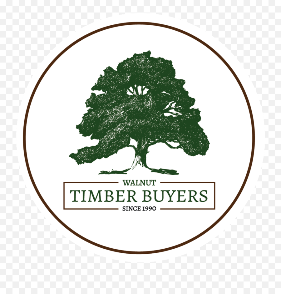White Oak Tree Buyers Il - Sell Your Standing Timber In Illinois Emoji,Oaktree Logo