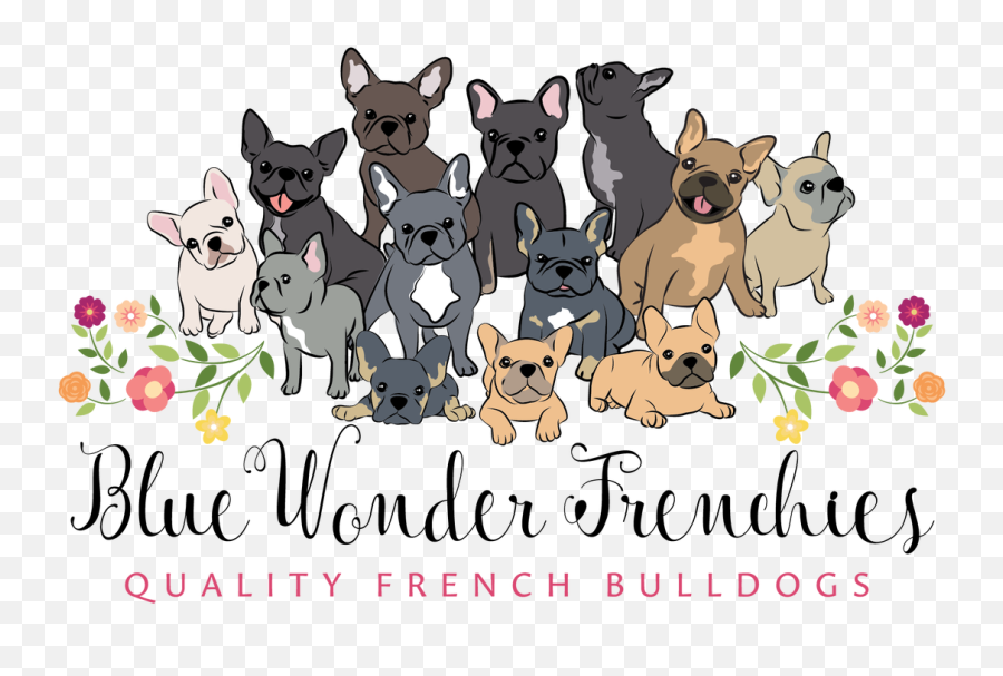 Dogs Clipart Name - Frenchies Cartoon Transparent Cartoon Frenchies Art Emoji,Dogs Clipart
