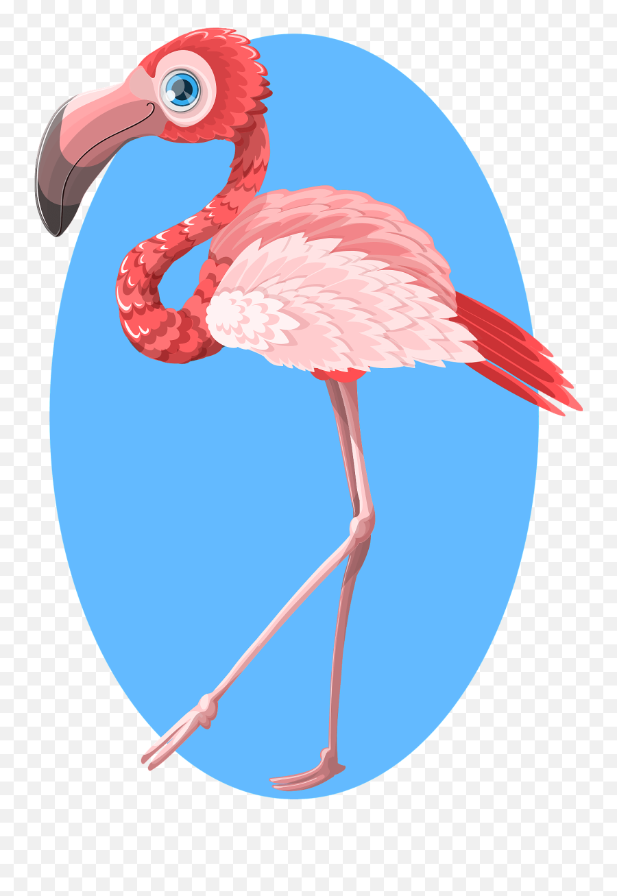 Flamingo Bird Vector Pink Clipart Transparent Png Png Mart - Vector Graphics Emoji,Pink Clipart
