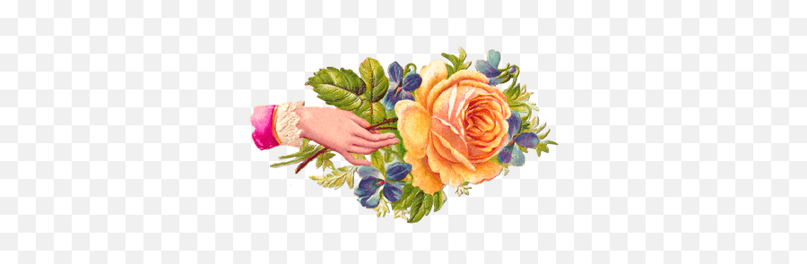 Rose Transparent Png Images - Stickpng Hand Welcome Images Hd Emoji,Flower Png Transparent