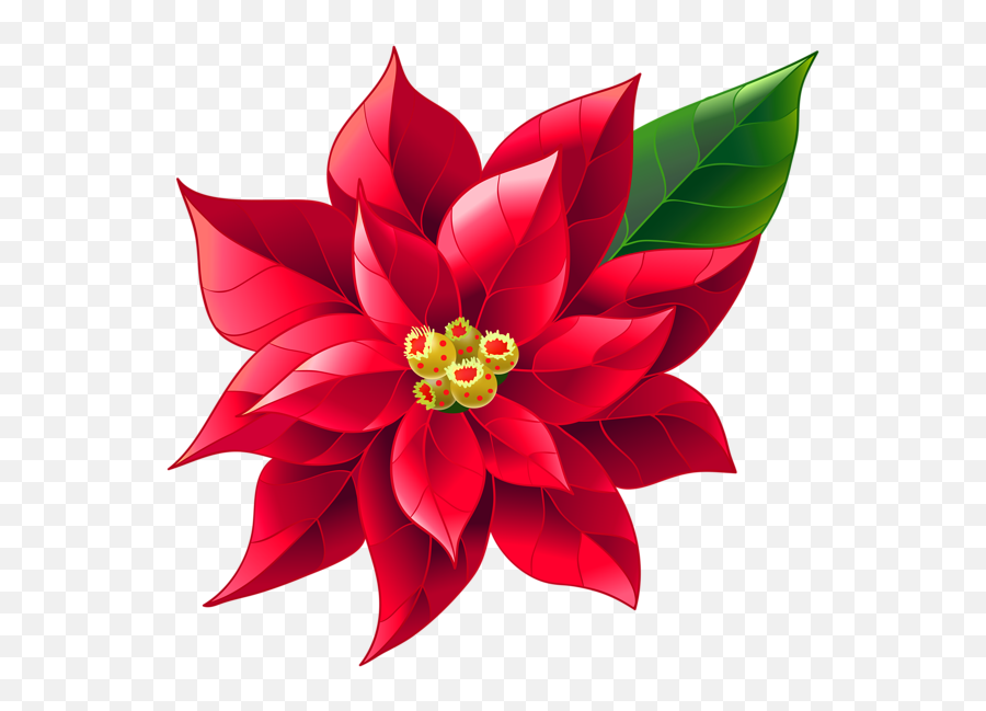 Xmas Poinsettia Png Clip Art Image Xmas Clip Art - Red Poinsettia Png Emoji,Christmas Tree Clipart