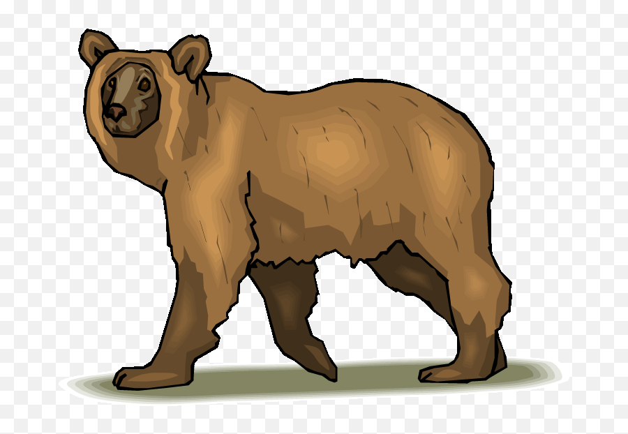 Free Bear Clipart - Flashcards Of Adaptation Of Animals Emoji,Brown Bear Clipart