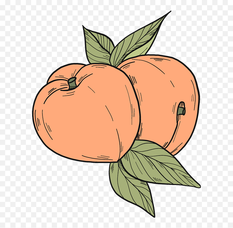 Peaches Clipart - Superfood Emoji,Peach Clipart