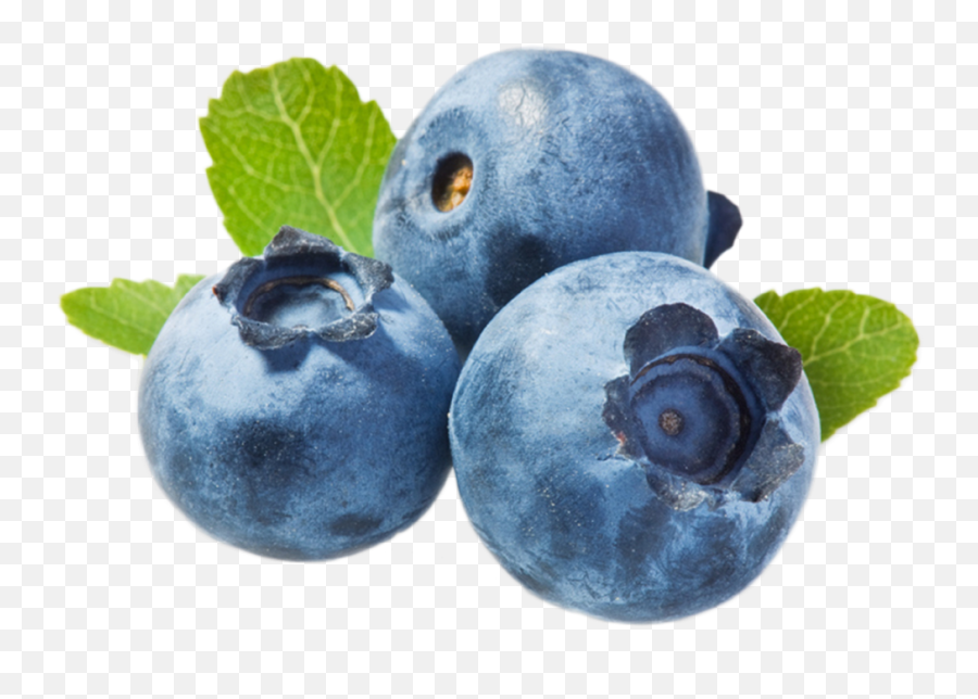 Blueberries Png Picture - Vaccinium Myrtillus Fruit Extract Emoji,Blueberry Clipart
