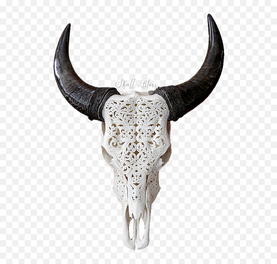 Carved Xl Horns Tribal Bliss - Transparent Bull Skull Png Texas Longhorn Emoji,Cow Head Clipart