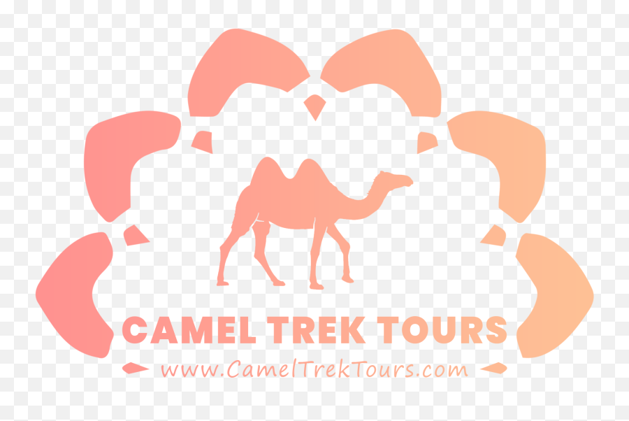 Camel Trek Tours Morocco Tour - Camel Flat Icon Emoji,Camel Logo