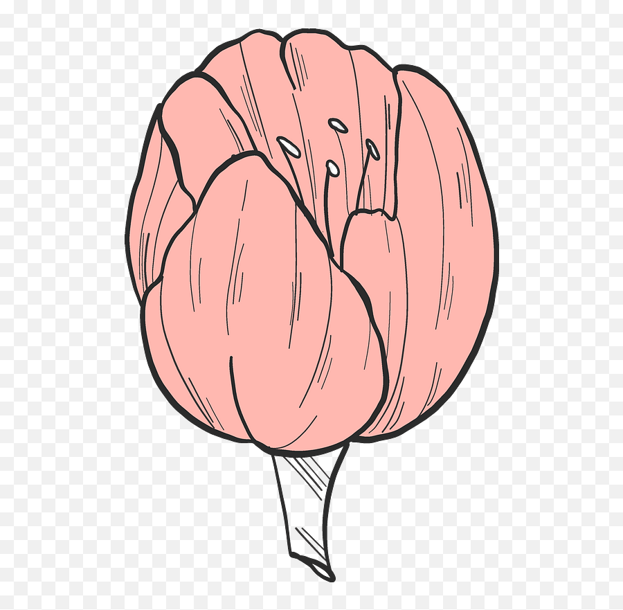 Pink Tulip Clipart Free Download Transparent Png Creazilla - Natural Foods Emoji,Tulip Clipart