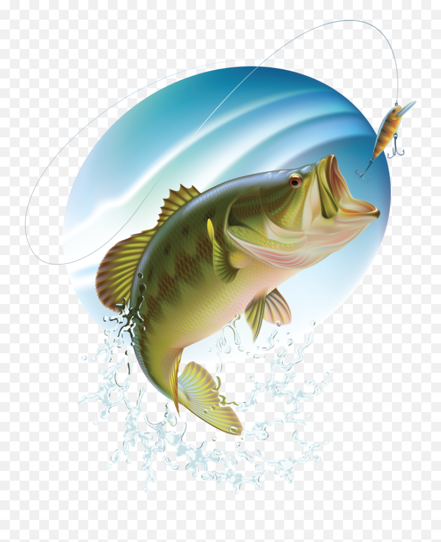 Download Bass Fishing Clipart Free Png - Free Fishing Clipart Emoji,Bass Fish Clipart