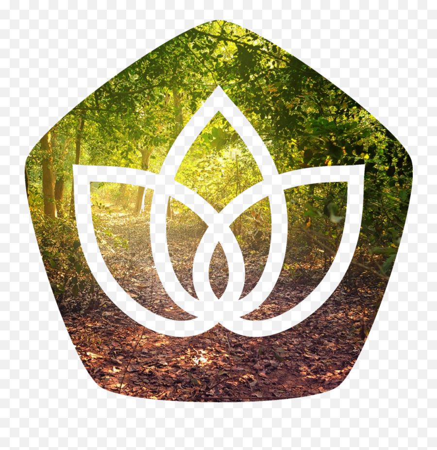Randoms Blog Native Balance - Oarai Isosaki Shrine Emoji,Randoms Logo