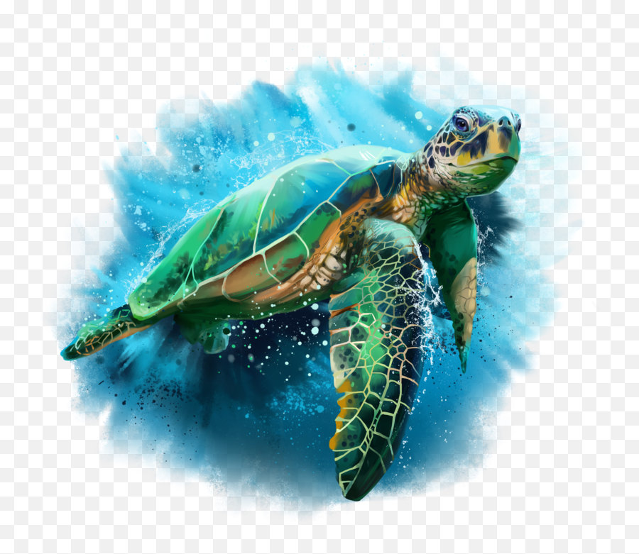 Sea Turtle Art Png U0026 Free Sea Turtle Artpng Transparent - Sea Turtle Watercolor Emoji,Sea Turtle Clipart