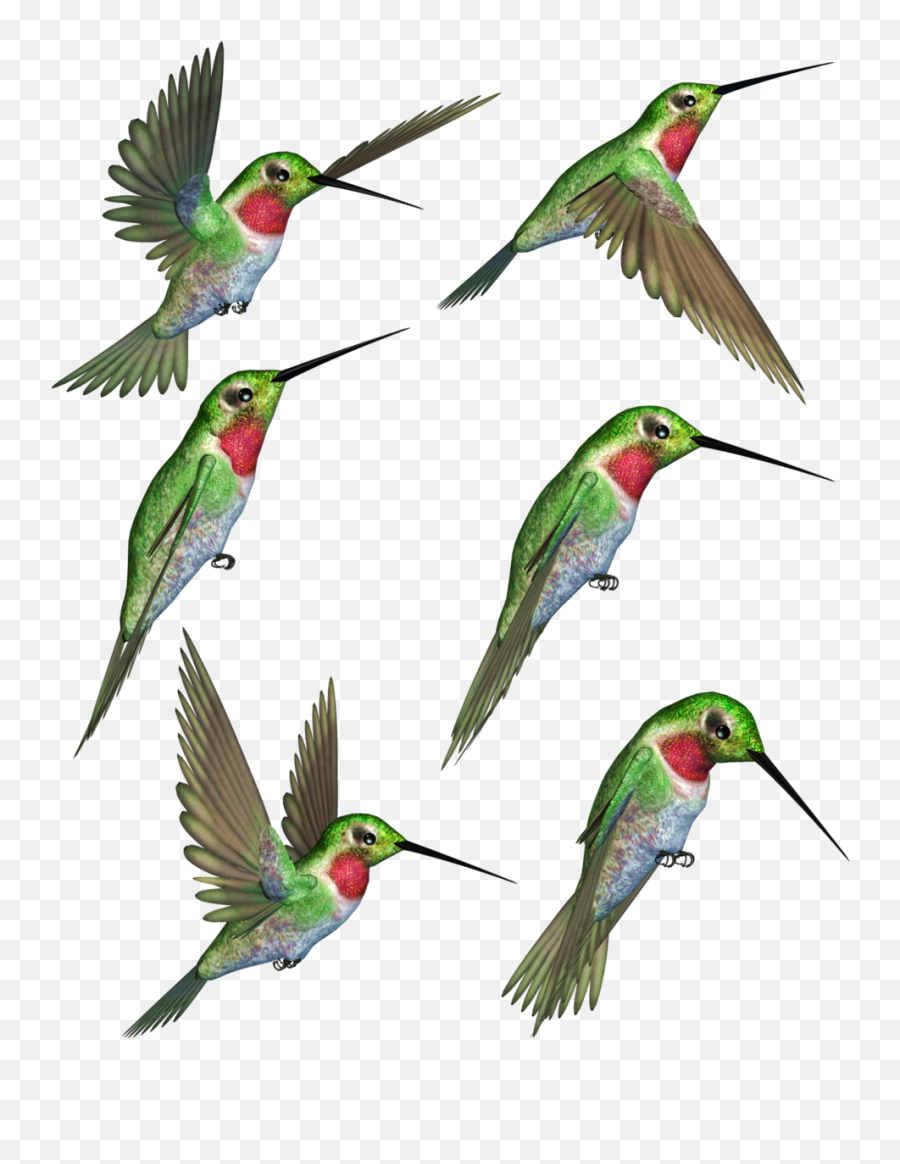 Hummingbird Clipart Humming Bird Hummingbird Humming Bird - Ruby Throated Hummingbird Hummingbird Cartoon Emoji,Hummingbird Clipart