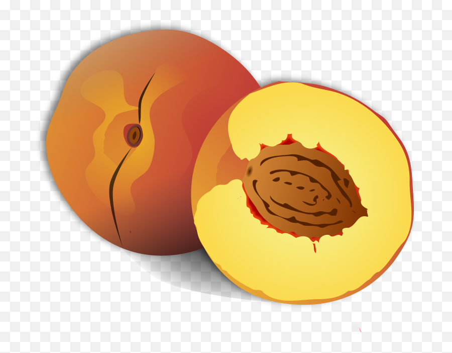 Free Clip Art - Clipart Nectarines Emoji,Peach Clipart