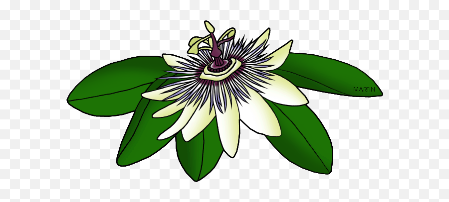 United States Clip Art By Phillip Martin Tennessee State Emoji,Wild Flower Clipart