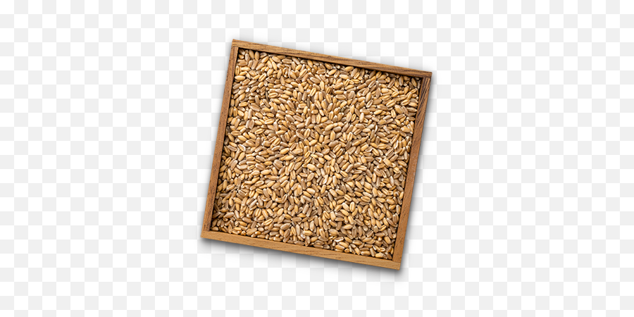 Wheat - Columbia Grain Emoji,Wheat Transparent