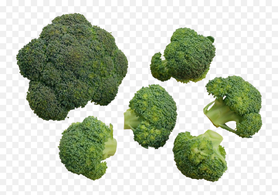 Download Free Png Broccoli - Backgroundtransparent Dlpngcom Emoji,Broccoli Transparent Background