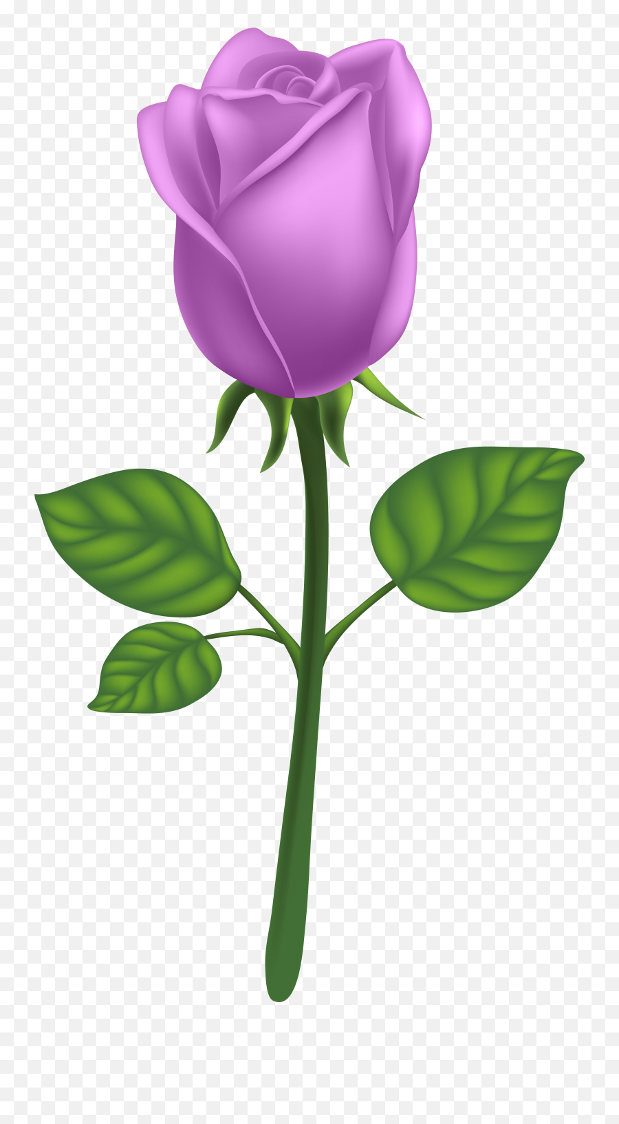 Purple Long Stem Rose Png Clipart - Full Size Clipart Transparent Background Purple Rose Clipart Emoji,Stem Clipart