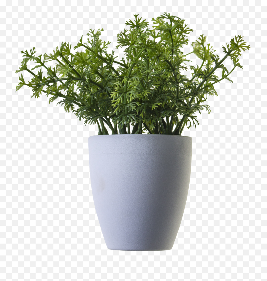 Plant Image Potted Flower Png - Transparent Background Potted Plant Png Emoji,Greenery Png