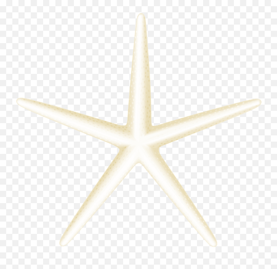 Starfish Transparent Png - Patient Care In Radiotherapy Emoji,Starfish Clipart