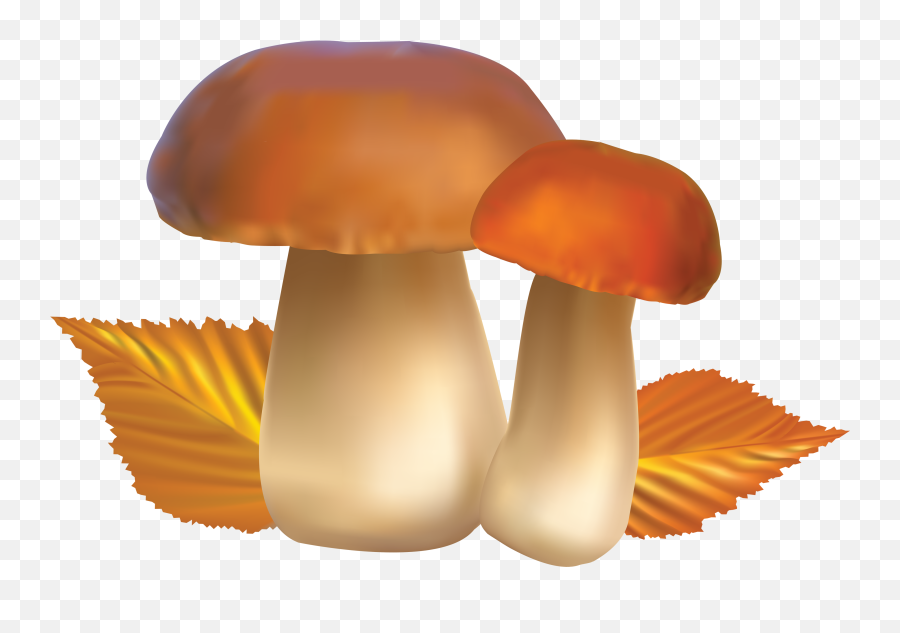 Mushroom Clipart Bing Images Mushrooms - Kabute Clipart Emoji,Mushroom Clipart