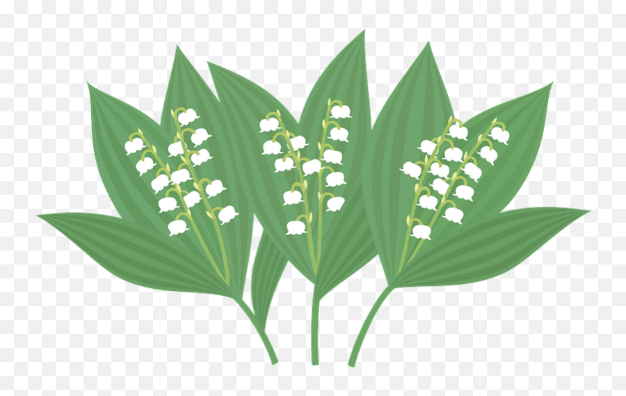 Lily Of The Valley Clipart - Lily Of The Valley Emoji,Valley Clipart