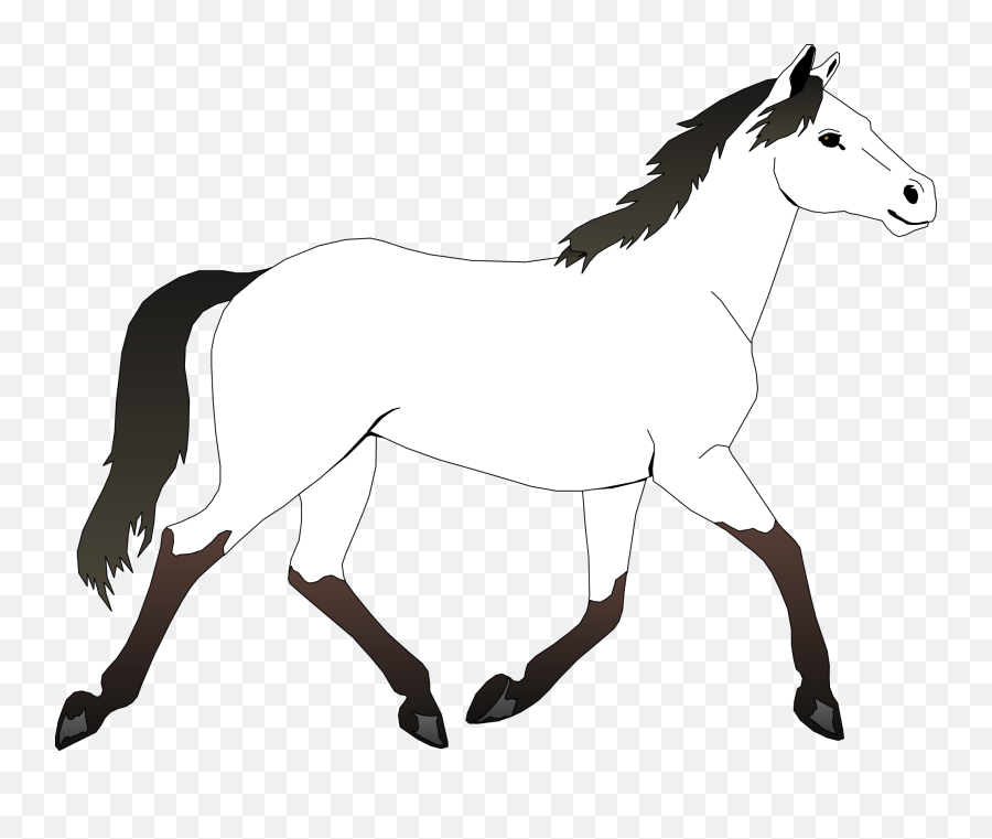 Best Horse Clipart Black And White - Paint Horse Coloring Pages Emoji,Horse Clipart Black And White